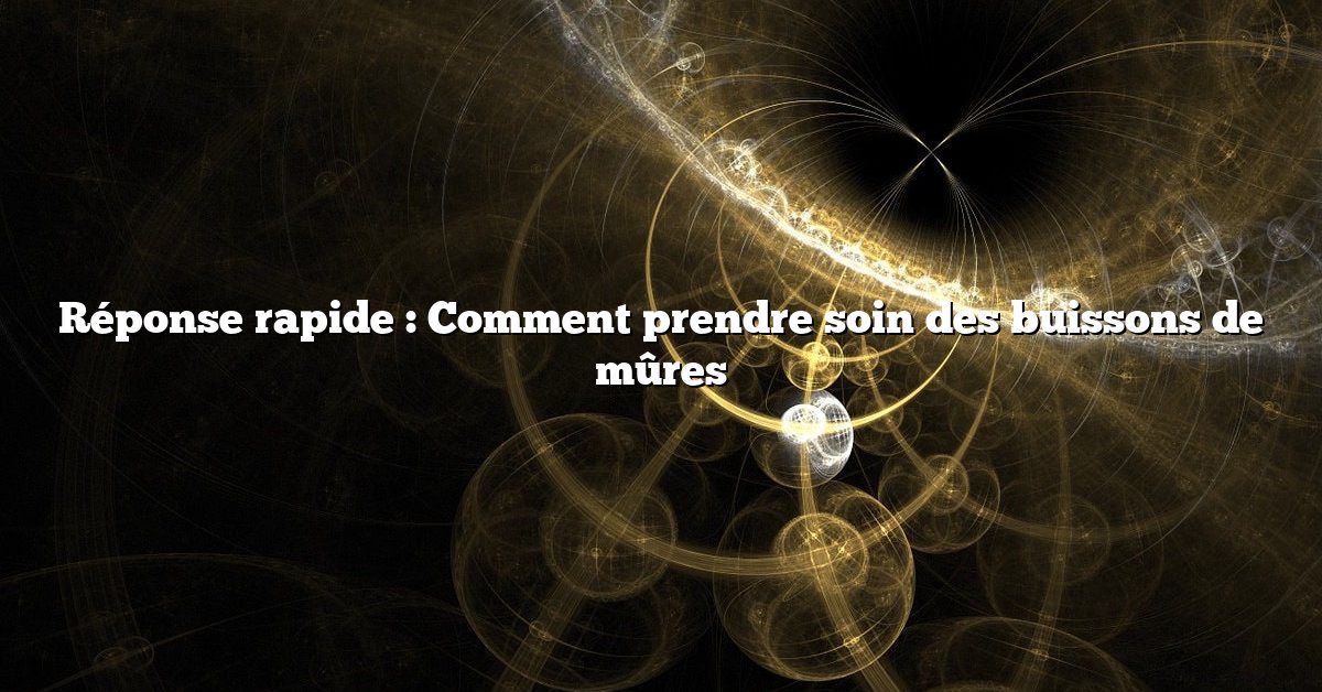 Réponse rapide : Comment prendre soin des buissons de mûres